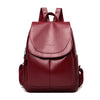 Sartori™ | Alison