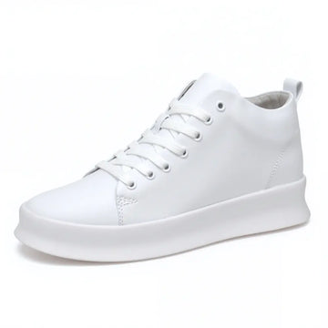 Zaro - 7cm (2.7")