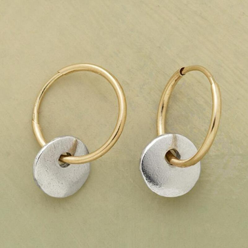 Orecchini a Cerchio Placcati Oro e Orecchini Placcati Argento